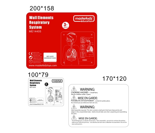 MASTERKIDZ Tablica Edukacyjna Układ Oddechowy Montessori