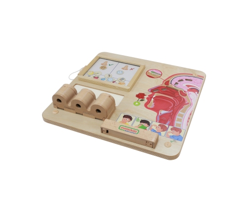 MASTERKIDZ Tablica Edukacyjna Zmysł Węchu Montessori