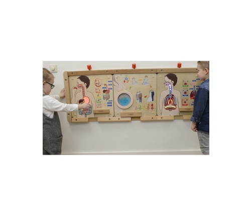 MASTERKIDZ Tablica Edukacyjna Układ Trawienny Montessori