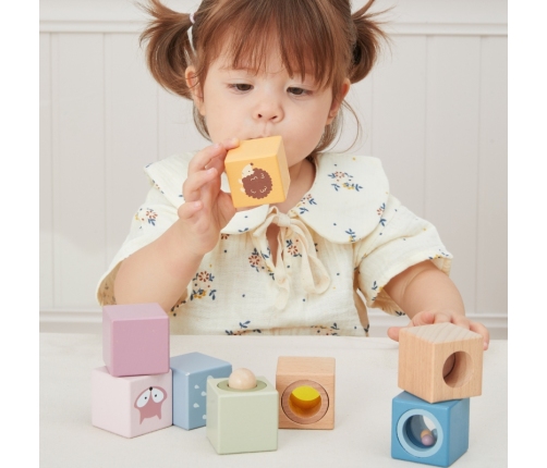 VIGA Drewniane Klocki Sensoryczne PolarB