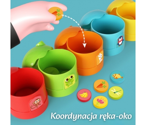 WOOPIE Gra Logiczna Edukacyjna Sorter Klasyfikacja Kolorów