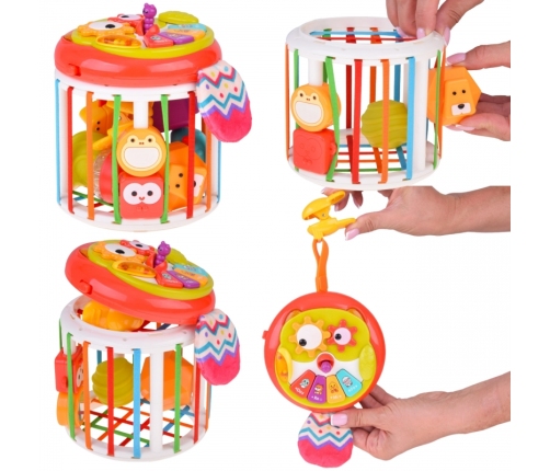 WOOPIE BABY Walec Kostka Sensoryczna Interaktywny Bębenek