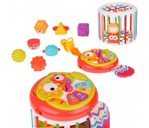 WOOPIE BABY Walec Kostka Sensoryczna Interaktywny Bębenek