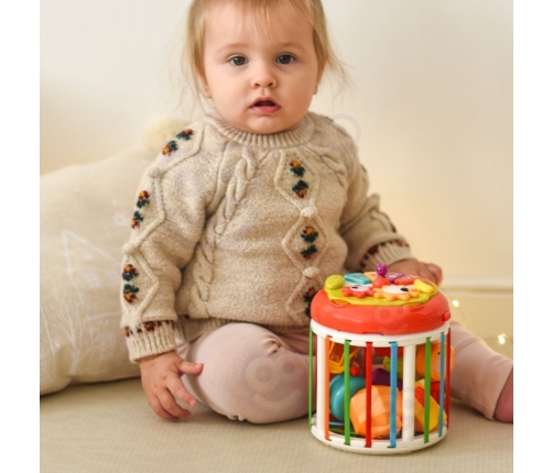 WOOPIE BABY Walec Kostka Sensoryczna Interaktywny Bębenek