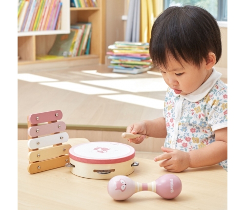 VIGA PolarB Zestaw Instrumentów Muzycznych Różowy