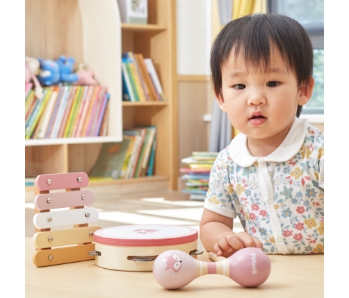 VIGA PolarB Zestaw Instrumentów Muzycznych Różowy