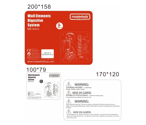 MASTERKIDZ Tablica Edukacyjna Układ Trawienny Montessori