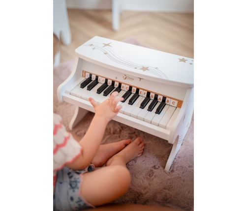 CLASSIC WORLD Pianino Czarne