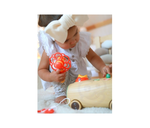 WOOPIE Gra Zręcznościowa Dzięcioł Wbijak Robaków 3w1 Wózek Ciągacz dla Niemowląt