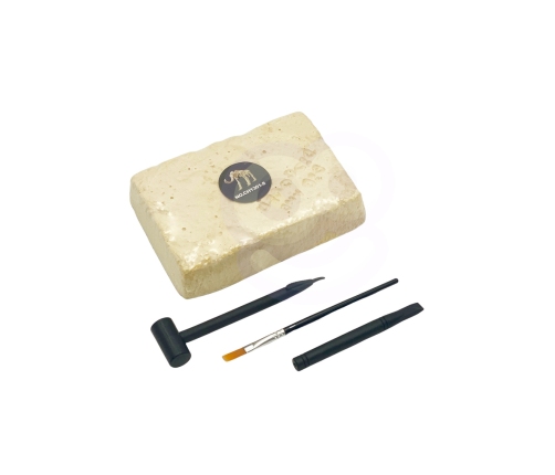 WOOPIE Zabawka Kreatywna Dinozaur Szkielet Wykopalisko Archeologiczne