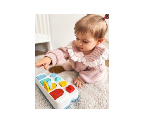 WOOPIE BABY Zabawka Edukacyjna Wyskakujące Zwierzątka POP-UP