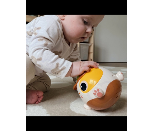 WOOPIE BABY Interaktywna Grająca Kula Piesek Zabawka Muzyczna Edukacyjna