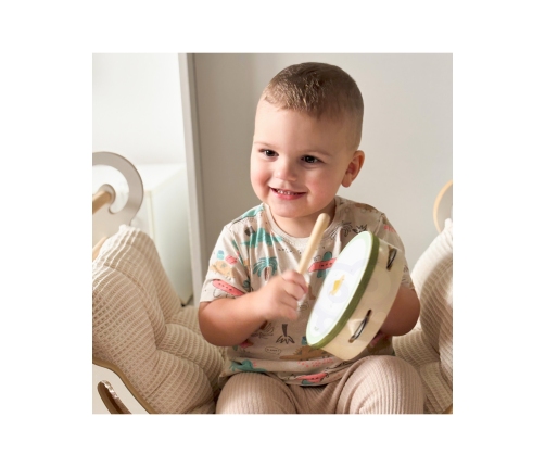 VIGA PolarB Zestaw Instrumentów Muzycznych Z Ptaszkiem