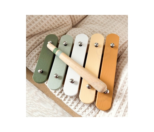 VIGA PolarB Zestaw Instrumentów Muzycznych Z Ptaszkiem