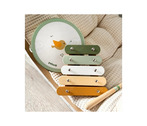 VIGA PolarB Zestaw Instrumentów Muzycznych Z Ptaszkiem