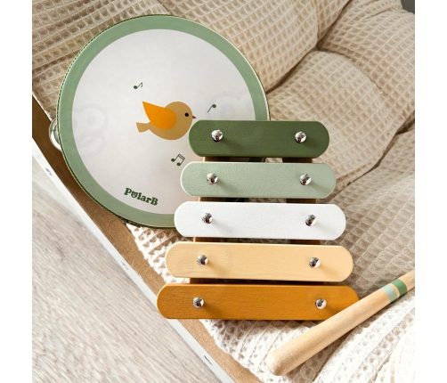 VIGA PolarB Zestaw Instrumentów Muzycznych Z Ptaszkiem