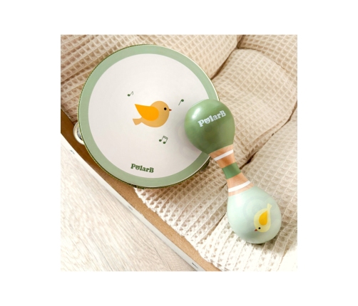 VIGA PolarB Zestaw Instrumentów Muzycznych Z Ptaszkiem