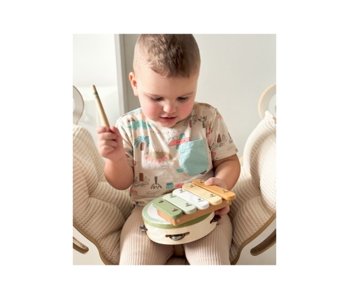 VIGA PolarB Zestaw Instrumentów Muzycznych Z Ptaszkiem