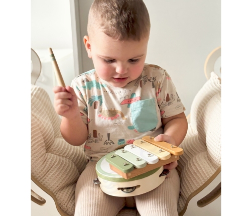 VIGA PolarB Zestaw Instrumentów Muzycznych Z Ptaszkiem