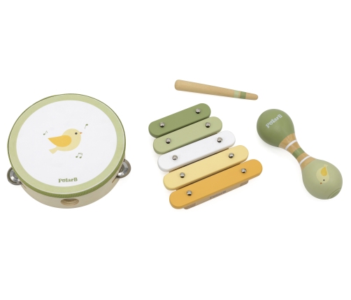 VIGA PolarB Zestaw Instrumentów Muzycznych Z Ptaszkiem