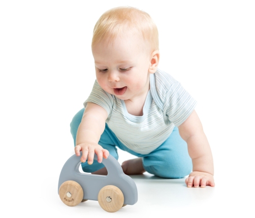 VIGA PolarB Drewniany Samochodzik do Pchania Niebieski
