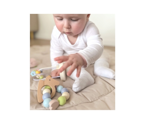 CLASSIC WORLD Pastelowy Zestaw Motoryczny dla Niemowląt Box Pierwsze Zabawki od Urodzenia