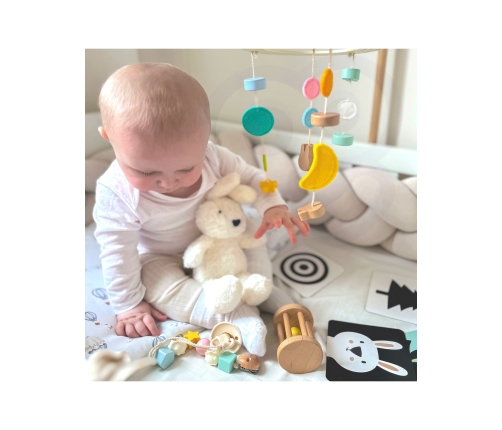 CLASSIC WORLD Pastelowy Zestaw dla Niemowląt Box Pierwsze Zabawki od 0 - 6 miesięcy