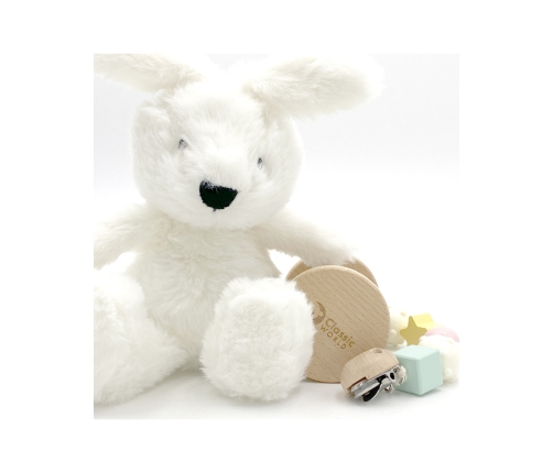 CLASSIC WORLD Pastelowy Zestaw dla Niemowląt Box Pierwsze Zabawki od 0 - 6 miesięcy