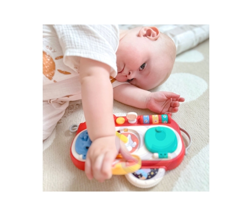 WOOPIE BABY Odkryj i Sprawdź Zabawka Manipulacyjna Edukacyjna