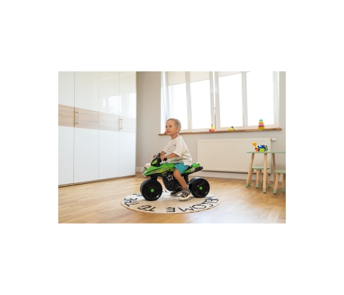 Stumjams motocikls FALK Racing Team Green