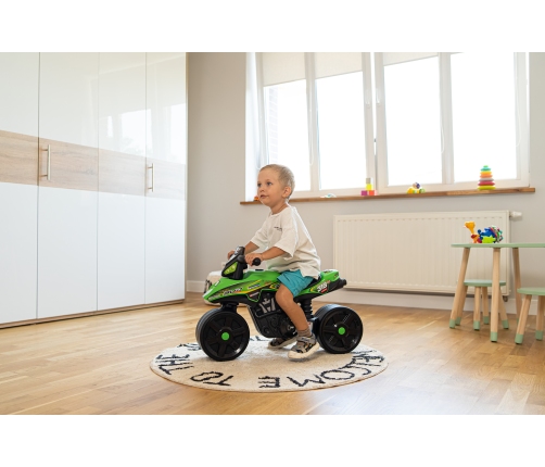 Stumjams motocikls FALK Racing Team Green