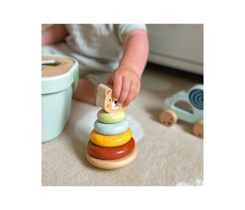 WOOPIE Сортер с игрушками 3 в 1