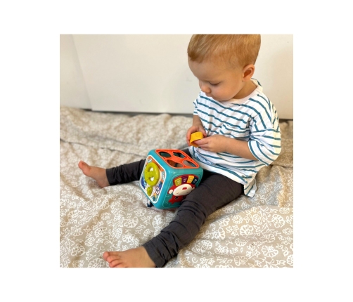 WOOPIE Interaktywna Kostka Sensoryczna Edukacyjna Montessori Sorter 6w1