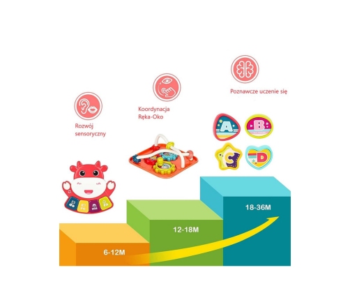 WOOPIE Interaktywna Kostka Sensoryczna Edukacyjna Montessori Sorter 6w1