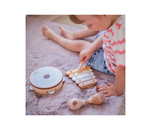 VIGA PolarB Zestaw Instrumentów Muzycznych Z Jeżykiem