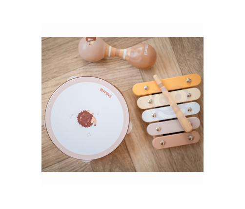 VIGA PolarB Zestaw Instrumentów Muzycznych Z Jeżykiem