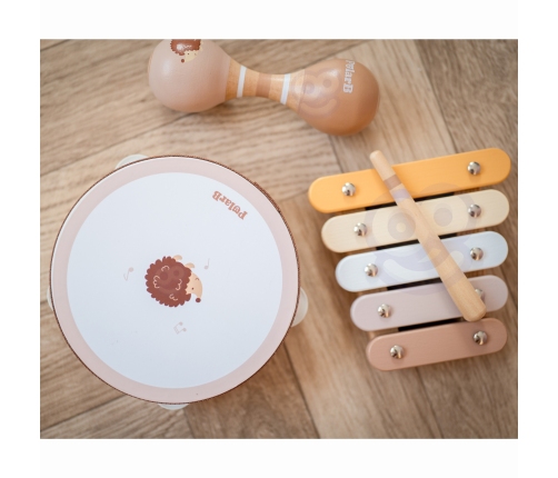 VIGA PolarB Zestaw Instrumentów Muzycznych Z Jeżykiem