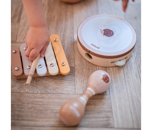 VIGA PolarB Zestaw Instrumentów Muzycznych Z Jeżykiem