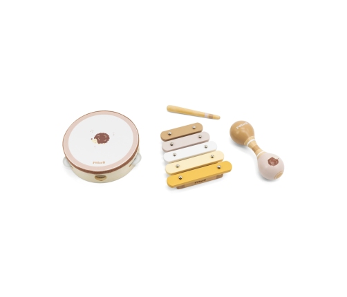 VIGA PolarB Zestaw Instrumentów Muzycznych Z Jeżykiem