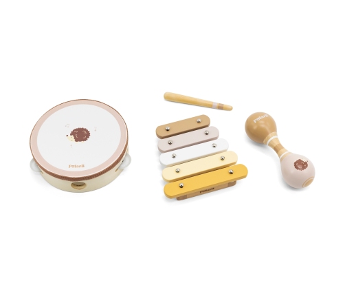 VIGA PolarB Zestaw Instrumentów Muzycznych Z Jeżykiem