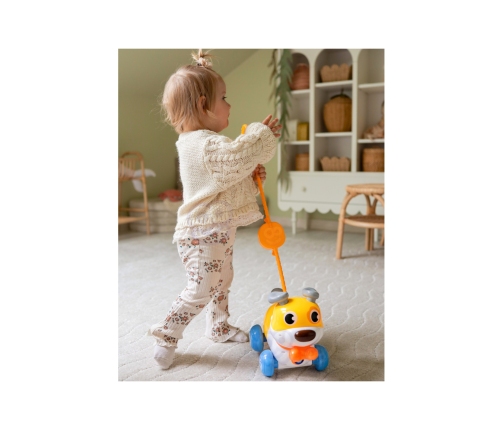 WOOPIE Interaktywny Piesek 2w1 Pchacz Szczekający 360° 6m+