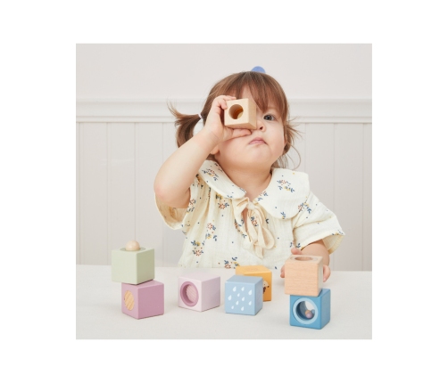 VIGA Drewniane Klocki Sensoryczne PolarB