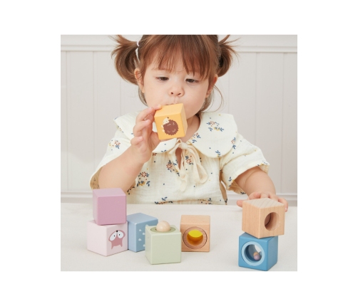 VIGA Drewniane Klocki Sensoryczne PolarB