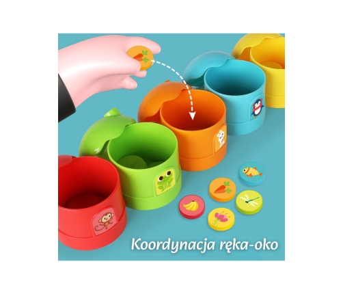 WOOPIE Gra Logiczna Edukacyjna Sorter Klasyfikacja Kolorów