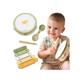 VIGA PolarB Zestaw Instrumentów Muzycznych Z Ptaszkiem