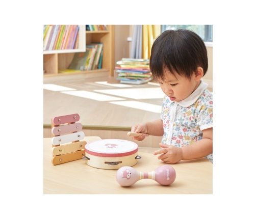 VIGA PolarB Zestaw Instrumentów Muzycznych Różowy