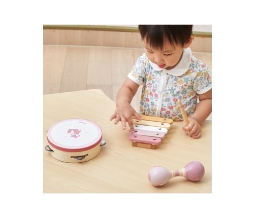 VIGA PolarB Zestaw Instrumentów Muzycznych Różowy