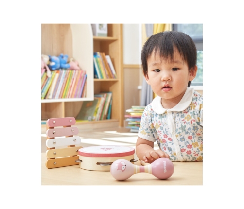 VIGA PolarB Zestaw Instrumentów Muzycznych Różowy