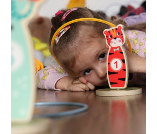 TOOKY TOY Drewniana Gra Zręcznościowa Rzut do Celu Zwierzątka 15 el.