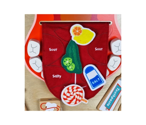 MASTERKIDZ Higiena Jamy Ustnej Ścienna Tablica Sensoryczna Flex Montessori